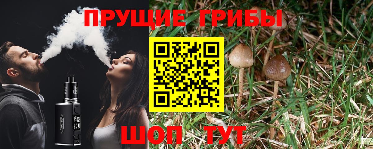 Псилоцибиновые грибы GOLDEN TEACHER  Вход с VPN  Шали  Псилоцибиновые грибы ЛСД 