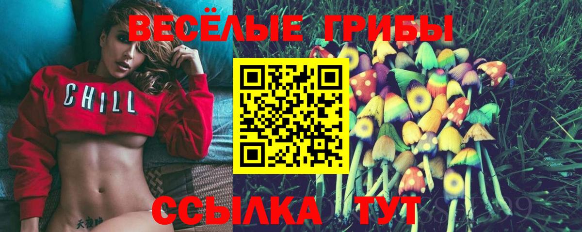 Галлюциногенные грибы Psilocybe Шали
